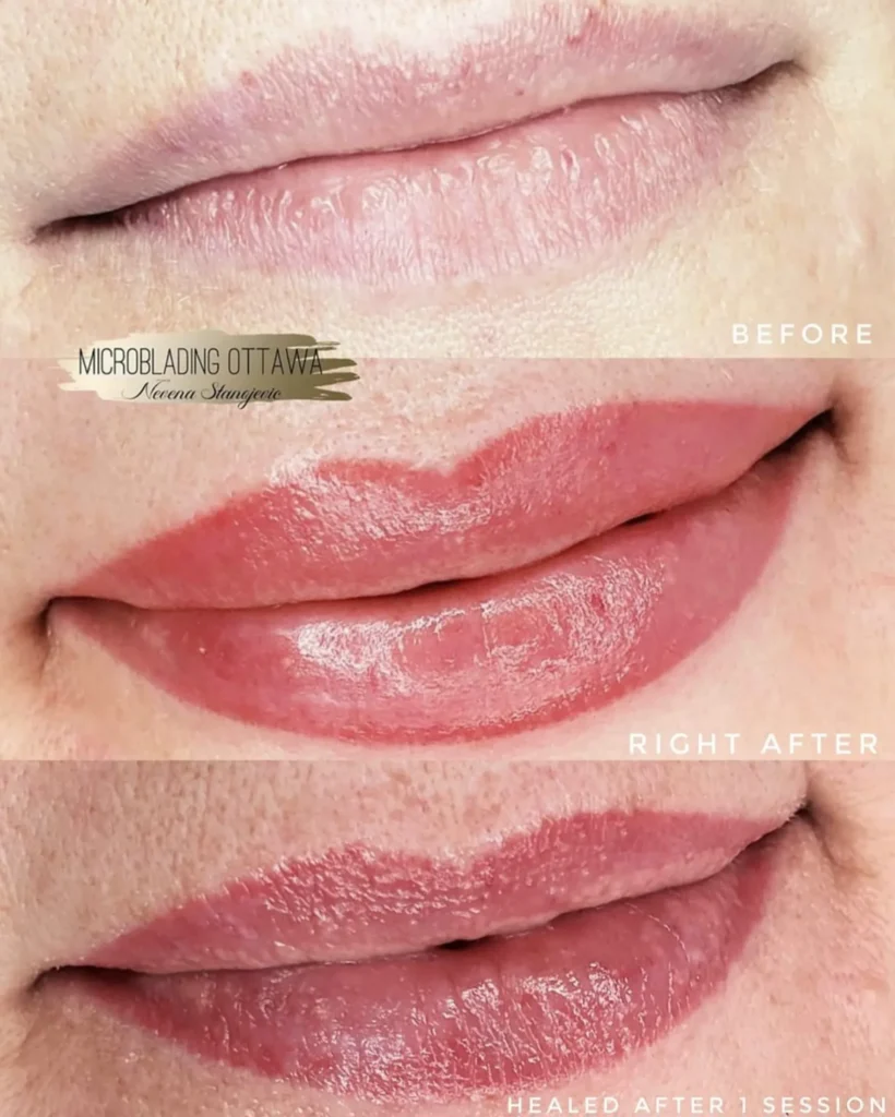 What is Lip Blush / Lip PMU 6